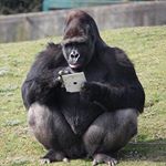 Profile Picture of Alan Bailey (@alanj.bailey) on Instagram