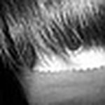 Profile Picture of Otgonbaatar Tsolmon (@io_oi_tsomo) on Flickr