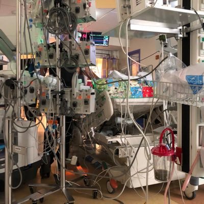 Profile Picture of Sarah Vaughn (@SarahFayVaughn) on Twitter