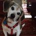 Profile Picture of Bill Beville (@bill.beville) on Facebook