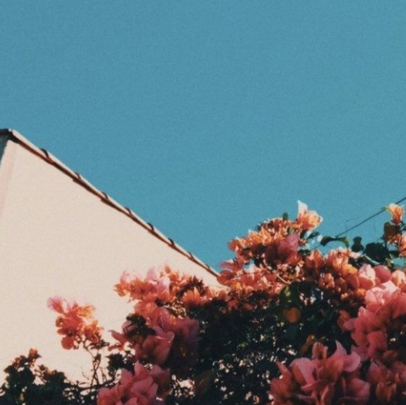 Profile Picture of Alexander Holyfield (@alexholyfield) on Poshmark