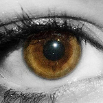 Profile Picture of Taylor Stringer (@taylorstringer) on Flickr