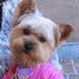 Profile Picture of MaryMargaret OBrien (@@MaryMargaretOBrien) on Tiktok