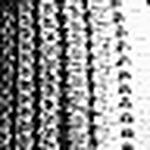 Profile Picture of Chip  Berry (@cberryphoto) on Flickr