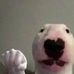 Profile Picture of Scott Macias (@scott.macias.77398) on Facebook