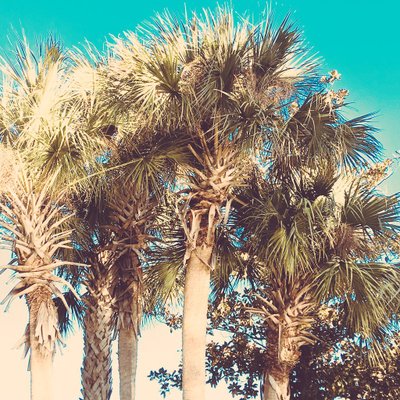 Profile Picture of Derek Nichols (@Derek_DLN5) on Twitter