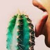Profile Picture of Thomas Aurelio (@thomas-aurelio-1) on Quora