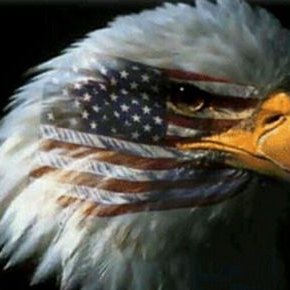 Profile Picture of Chris Crystal (@young_chrisann) on Twitter