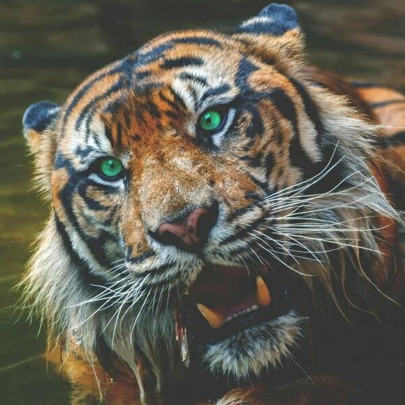 Profile Picture of Dan Coombs (@dancoombs) on Poshmark