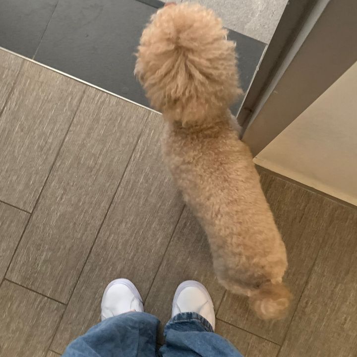 Profile Picture of g (@iwanttosleepp__) on Tiktok