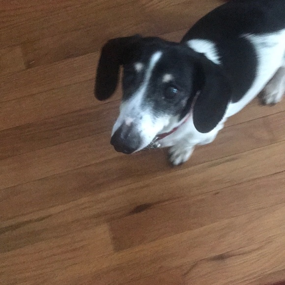 Profile Picture of Gary Morgan (@gsmorgan) on Poshmark