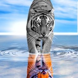 Profile Picture of Richard Entler (@EntlerRichard) on Twitter