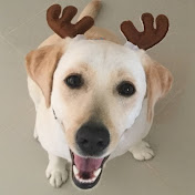 Profile Picture of MARK CRUISE (@slotulous) on Youtube