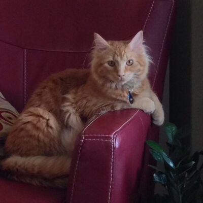 Profile Picture of R Nelson (@RobertaNelson) on Twitter