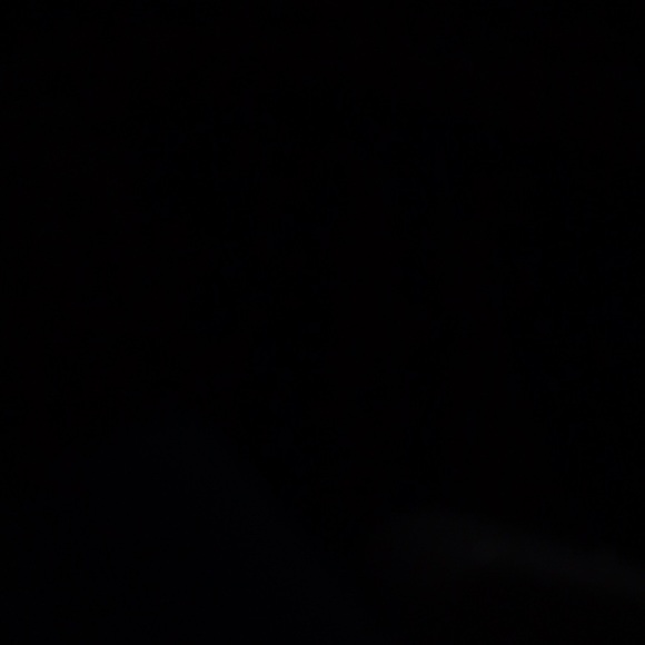 Profile Picture of Alixes Woestor (@thewoost) on Poshmark