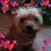 Profile Picture of Cindy Wickwire (@cindy.wickwire.127) on Facebook