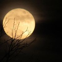 Profile Picture of Carla Mitchell (@carla-mitchell-25) on Quora