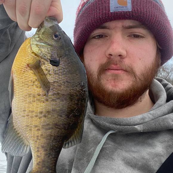 Profile Picture of Adam Nagy jr. (@niggles24) on Poshmark