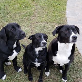 Profile Picture of Robert Prouse (@robertprouse919) on Facebook