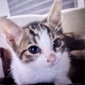 Profile Picture of Alex Villegas  (@JulianVillegas-mh6rg) on Youtube