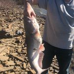 Profile Picture of Jason blevins (@shooter_blevins) on Instagram