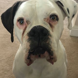 Profile Picture of John Ruta (@john.ruta.9) on Facebook