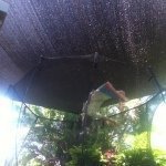 Profile Picture of Thomas Rake (@thomasrake539000) on Instagram