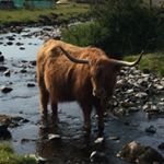 Profile Picture of brian_fife (@brian_fife) on Instagram