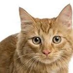 Profile Picture of Martin Bizar (@kevinsweezy2018) on Instagram