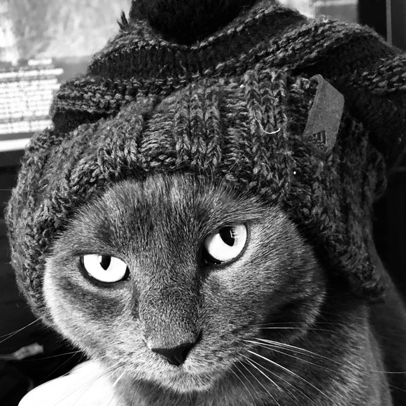 Profile Picture of Christopher Fitzgerald (@christofritz) on Poshmark