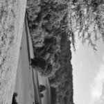 Profile Picture of Hazzard (@eurydicei3) on Instagram