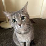 Profile Picture of Paula McNutt (@paulajmcnutt) on Instagram