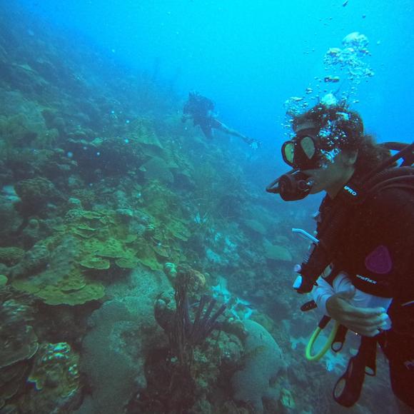 Profile Picture of Daniella Freese (@daniellafreese) on Poshmark