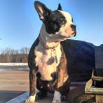 Profile Picture of Mike Thomsen (@thomsen6427) on Instagram