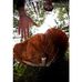 Profile Picture of Justin Ciccone (@justin.ciccone.9) on Facebook