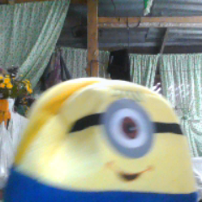 Paniza Karl Cyrus - Twitter Profile Picture of Paniza Karl Cyrus (@panizakarlcyrus) on Twitter