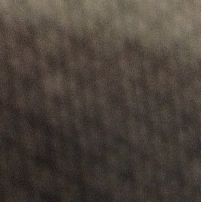 Profile Picture of Coach Boyer (@MitchBoyer) on Twitter