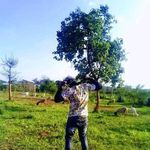 Profile Picture of Holy Smoker Paul (@holysmokerpaul) on Instagram