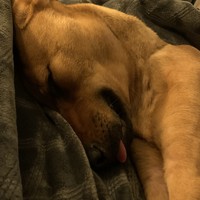 Profile Picture of Mckenzie Jackson (@mckenzie-jackson-51) on Quora