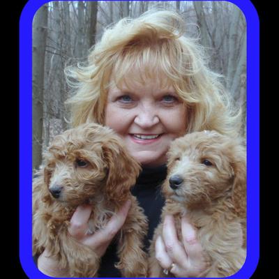 Profile Picture of Kim Hone-McMahan (@KimMcMahan) on Twitter