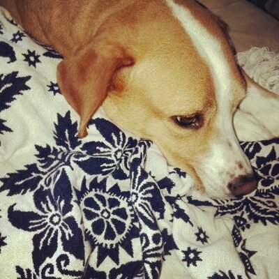 Profile Picture of Jason Haugen (@jason_haugen) on Twitter
