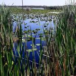 Profile Picture of Cassandra Hannah (@iamluunah) on Instagram