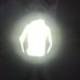 Profile Picture of Mitchell Wagner (@mitchell.wagner.526) on Facebook