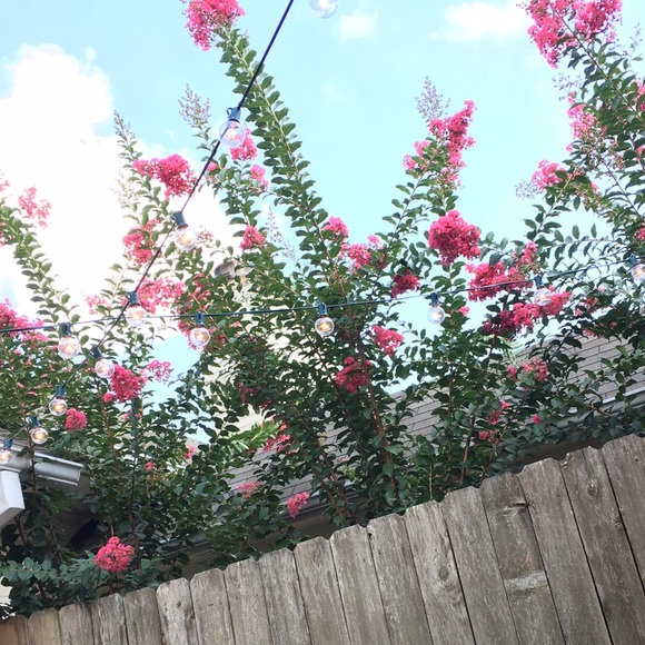 Profile Picture of Frances Claire (@francessclairee) on Poshmark