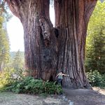 Profile Picture of shawna west (@shawnamw720) on Instagram