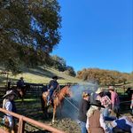 Profile Picture of David Woodbridge (@d_wood81) on Instagram