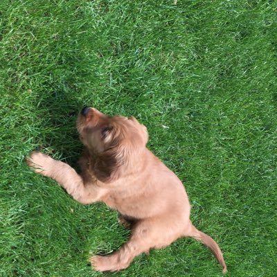 Profile Picture of Jeremy (@PearlmanJeremy) on Twitter