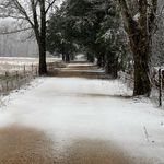 Profile Picture of Jared Mccullough (@_ja_mac) on Instagram