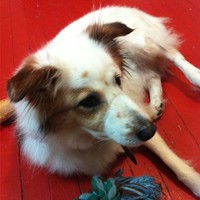 Profile Picture of Grant Davis (@grant-davis-4) on Quora