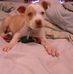 Profile Picture of Maurice Cates (@maurice.cates.52) on Facebook